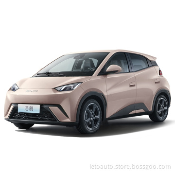 BYD New Energy Car Electric Tricicle Oper Care Care Electric Car
